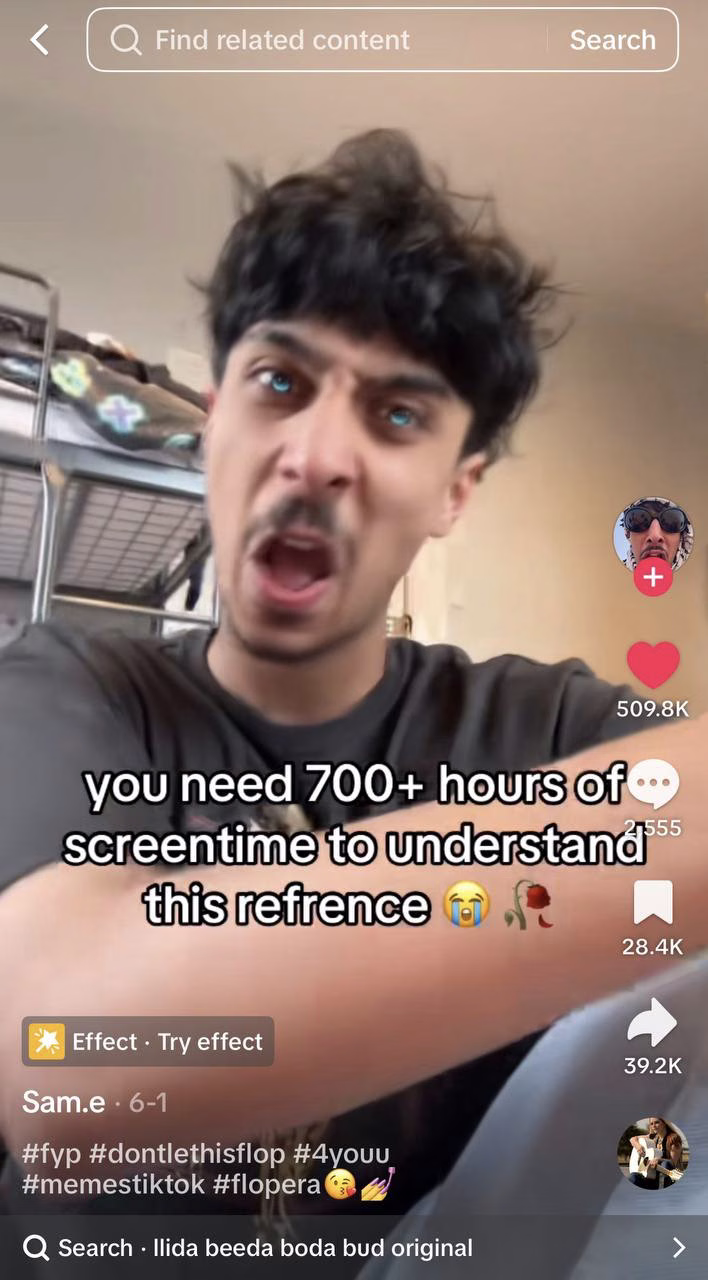 TikTok caption saying you need 700-plus hours of screen time to understand this reference
